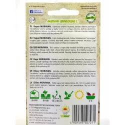 Toraf 5g Koper Ogrodowy Moravan Nasiona ziół Bardzo aromatyczny Odmiana średnio wczesna Dobrze plonuje