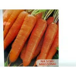 Toraf 5g Marchew Flakkese 2 Flacoro Nasiona warzyw Odmiana bardzo plenna późna Słodka Źródło karotenu