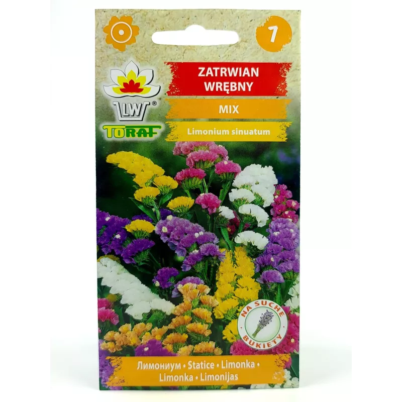 Toraf 0,5g Zatrwian Wrębny Mix Nasiona kwiatów jednorocznych Mieszanka kolorów Drobne kwiatostany Rabatki Suche bukiety
