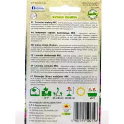 Toraf 0,5g Zatrwian Wrębny Mix Nasiona kwiatów jednorocznych Mieszanka kolorów Drobne kwiatostany Rabatki Suche bukiety