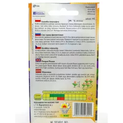 Toraf 0,2g Sasanka Ogrodowa Fioletowa Nasiona kwiatów Odmiana wieloletnia Rabaty bylinowe Ogródki skalne