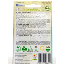 Toraf 0,1g Trawa Pampasowa Biała Nasiona Roślina wieloletnia Ozdobne srebrzyste kępy