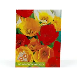 Toraf 0,3g Mak Syberyjski Mix Nasiona kwiatów wieloletnich Mieszanka kolorów Pachnące kwiaty