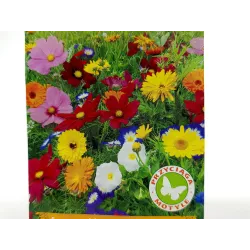 Toraf 1g Mieszanka Kwiatów Przyciągających Motyle Nasiona kwiatów jednorocznych wieloletnich Rośliny pachnące