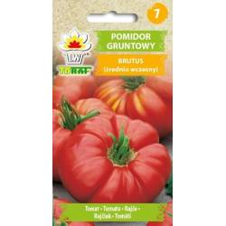 Toraf 0,5g Pomidor Brutus Gruntowy Wysoki Nasiona warzyw soki przetwory bardzo duże owoce