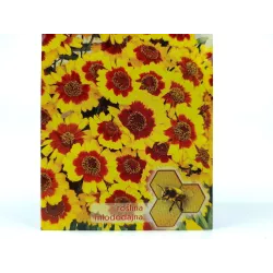 Toraf 1g Nachyłek Dwubarwny Karłowy Nasiona kwiatów Roślina jednoroczna Łatwa uprawa Rabaty Kwietniki