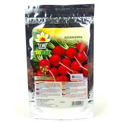 Toraf 100g Rzodkiewka Cherry Belle Nasiona warzyw Duże opakowanie Odmiana czerwona wczesna Grunt Szklarnie