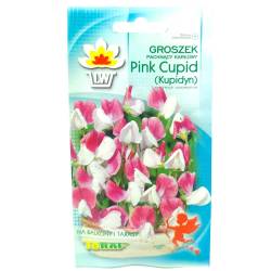 Toraf 2g Groszek Pachnący Karłowy Pink Cupid Nasiona kwiatów