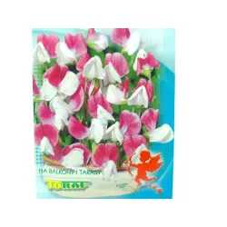 Toraf 2g Groszek Pachnący Karłowy Pink Cupid Nasiona kwiatów