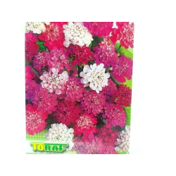 Toraf 0,5g Ubiorek Różowy Nasiona kwiatów jednorocznych ściany kwiatowe rabatki skalniaki