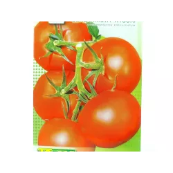 Toraf 0,2g Pomidor Pedro Szklarniowy Późny Nasiona warzyw przetwory przechowywanie