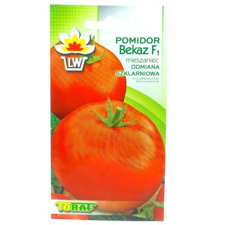 Toraf 0,2g Pomidor Bekaz Szklarniowy Nasiona warzyw odmiana wczesna bardzo plenna