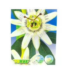 Toraf 0,2g Męczennica Pasiflora Marakuja pnącze Nasiona kwiatów jadalnych pnących