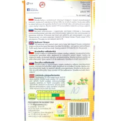 Toraf 0,2g Rozwar Platykodon Bylina Nasiona kwiatów na rabaty kwiat cięty