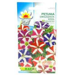 Toraf 0,1g Petunia niska Gwieździsta Mix Nasiona kwiatów mieszanka kolorów roślina balkonowa rabatowa