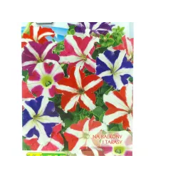 Toraf 0,1g Petunia niska Gwieździsta Mix Nasiona kwiatów mieszanka kolorów roślina balkonowa rabatowa