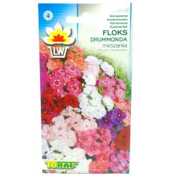 Toraf 0,5g Floks Drummonda mix kolorów Nasiona kwiatów niska odmiana roślina jednoroczna