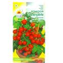 Toraf 0,5g Pomidor Gartenperle Czerwony Koktajlowy Nasiona warzyw odmiana gruntowa słodki soczysty