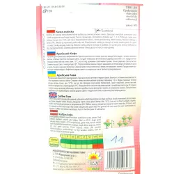 Toraf 6szt. Kawa Arabska Nasiona kawy roślina doniczkowa dekoracyjna kwitnąca