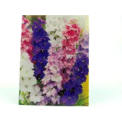 Toraf 1g Ostróżka Letnia Ogrodowa Pełna Mix Nasiona kwiatów rabatki kwiat cięty