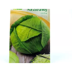 Toraf 2g Kapusta Głowiasta Biała Amager Kurzstrunkig Nasiona warzyw źródło witamin błonnika kwaszenie