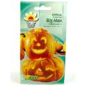 Toraf 4g Dynia Big Max Olbrzymia Nasiona Długie przechowywanie Halloween