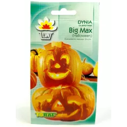Toraf 4g Dynia Big Max Olbrzymia Nasiona Długie przechowywanie Halloween