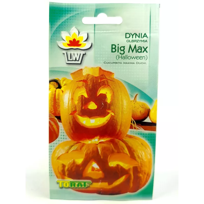 Toraf 4g Dynia Big Max Olbrzymia Nasiona Długie przechowywanie Halloween