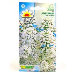 Toraf 1g Ubiorek Hiacyntowy Biały Nasiona kwiatów roślina jednoroczna skalniaki ściany kwiatowe rabatki