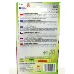 Toraf 0,3g Aster Pinokio Karłowy Nasiona niski różne kolory drobne kwiaty