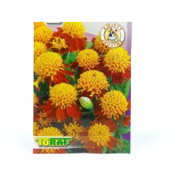 Toraf 1g Aksamitka Orange Flame Nasiona pomarańczowa kwiaty rabatowe