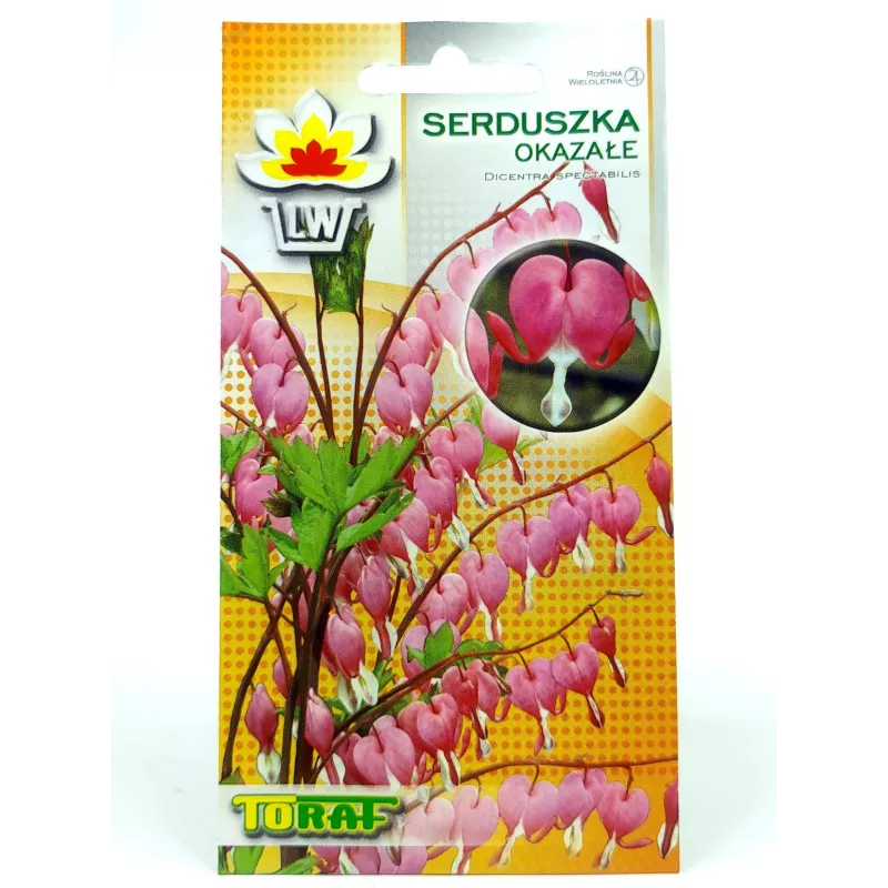 Toraf 5szt. Serduszka Okazałe Nasiona kwiatów wieloletnich kształt serca
