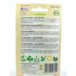 Toraf 3g Dynia zwyczajna Cukinia Nefertiti zielona Nasiona warzyw Odmiana wczesna Długie owoce