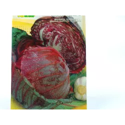 Toraf 1g Kapusta Głowiasta Czerwona Mars Nasiona warzyw Ładne główki Bardzo smaczna