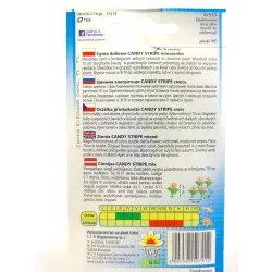 Toraf 1g Cynia daliowa Candy Stripe mix kolorów Nasiona kwiatów jednorocznych