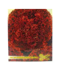 Toraf 1g Sałata Lollo Rossa Czerwona Nasiona warzyw Odmiana liściowa dekoracje potraw sałatki