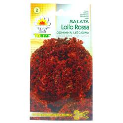 Toraf 1g Sałata Lollo Rossa Czerwona Nasiona warzyw Odmiana liściowa dekoracje potraw sałatki