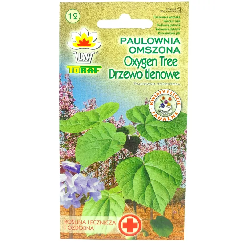Toraf 0,1g Paulownia Oxygen Tree Drzewo Tlenowe Nasiona bardzo szybki wzrost ozdobne drzewo