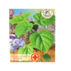Toraf 0,1g Paulownia Oxygen Tree Drzewo Tlenowe Nasiona bardzo szybki wzrost ozdobne drzewo