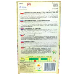 Toraf 0,1g Paulownia Oxygen Tree Drzewo Tlenowe Nasiona bardzo szybki wzrost ozdobne drzewo