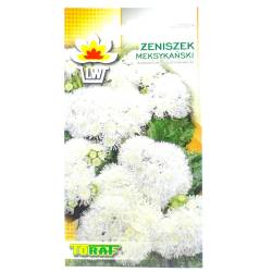 Toraf 0,3g Żeniszek Meksykański Biały Nasiona kwiatów jednorocznych obwódki rabaty kwietniki gazony
