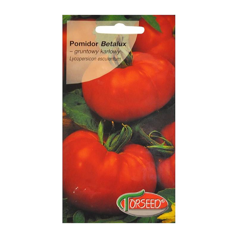 Torseed 0,2g Pomidor Betalux Gruntowy Niski Karłowy Nasiona