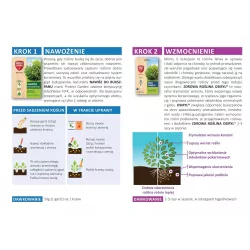 SBM Uzupełnienie Pułapki na ćmę bukszpanową Feromony 3 miesiące działania Odławianie dorosłych osobników