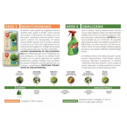 SBM Uzupełnienie Pułapki na ćmę bukszpanową Feromony 3 miesiące działania Odławianie dorosłych osobników