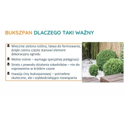 SBM Uzupełnienie Pułapki na ćmę bukszpanową Feromony 3 miesiące działania Odławianie dorosłych osobników