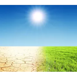 Barenbrug Trawnik Polski 0,9 kg Trawa Desert Na tereny suche Nasiona Rzadkie podlewanie