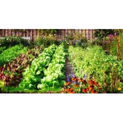 Biopon 10 kg Primafoska Nawóz uniwersalny Wieloskładnikowy Obfite zbiory Zbilansowany