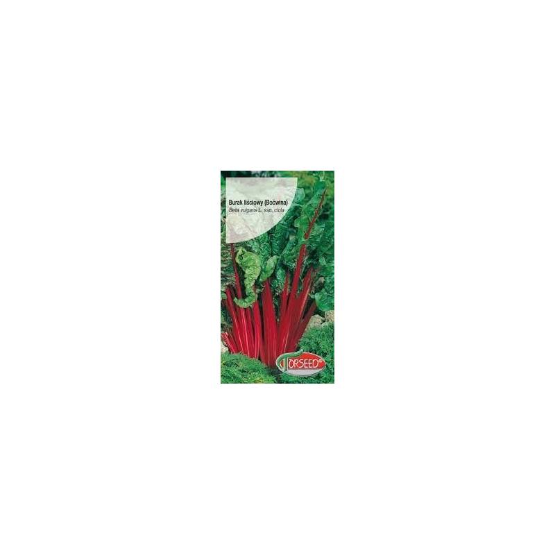 Torseed 10g Burak Liściowy Rhubarb Chard Boćwina Na Botwinę Nasiona