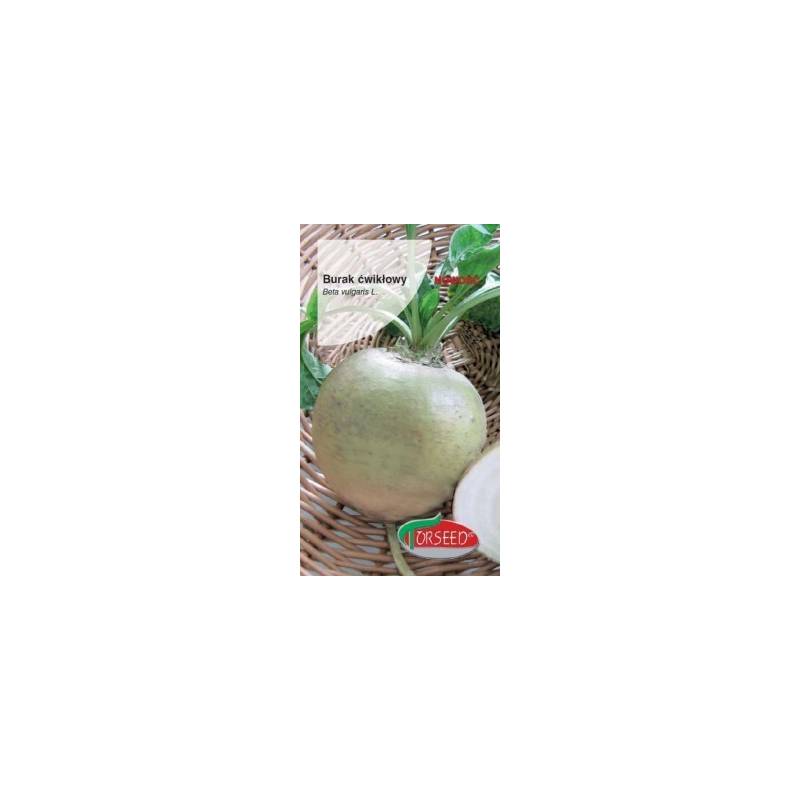 Torseed 5g Burak Ćwikłowy Śnieżna Kula Biały Nasiona