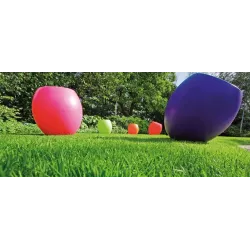 Barenbrug 5 kg Trawa regeneracyjna Nasiona SOS Quick Repair Podsiewanie Szybko rosnąca